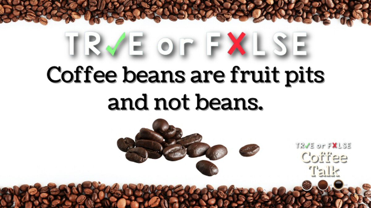 TRUE or FALSE: Coffee Talk image number null
